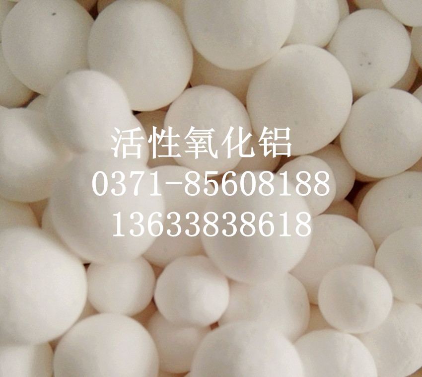活性氧化铝厂家2015年全部职工惩处大会